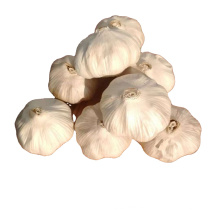 2020 Wholesale Fresh Organic White Garlic